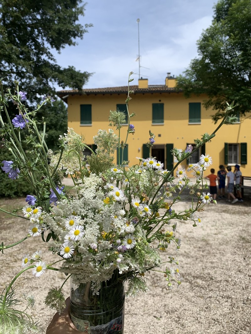 Casa Arginone in Modena
