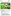Obbligo di green pass